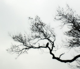 Loneliness / ***
