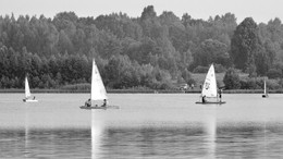 Regatta / ***