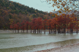 Autumn dream / ***
