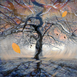 Herbst-Traum / ***