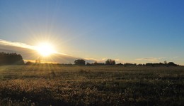 Dawn / ***