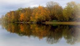 Autumn dream / ***