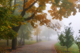 Autumn dream / ***