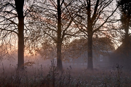 Herbst-Traum / ***