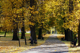 Herbst-Traum / ***