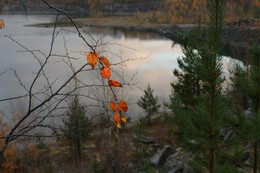Herbst-Traum / ***