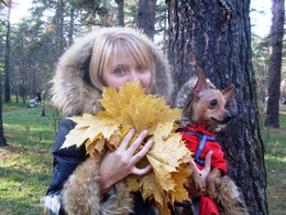 Autumn dream / ***