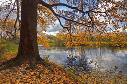 Autumn dream / ***