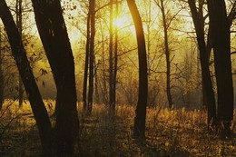 Herbst-Traum / ***