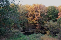 Herbst-Traum / ***
