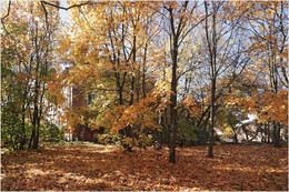 Herbst-Traum / ***