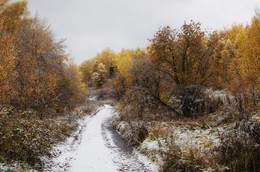 Der erste Schnee ... / ***