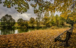 Herbst / ***