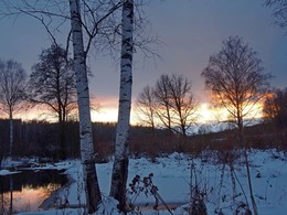 Abend kommt / ***