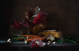 Autumn Still Life / ***