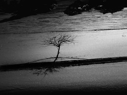 walk / ***
