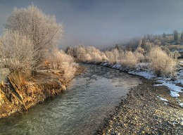 Silvered / ***
