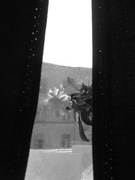 sunday morning / ***