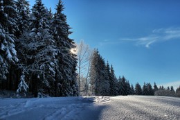 Sonnenuntergang im Winter / ***
