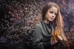  / ***