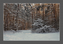 Winter-Etüde / ***