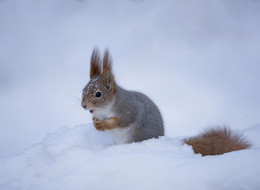 Cold ... / .....