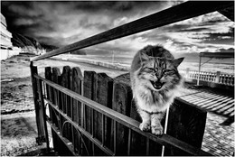 Bad weather / ***