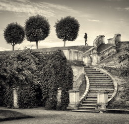 In the old park / ***