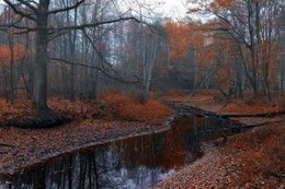 late autumn ... / ***