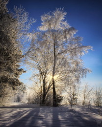 Winterdämmerung / ***