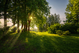 About summer / ***