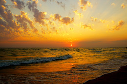 Golden Sunset / ***