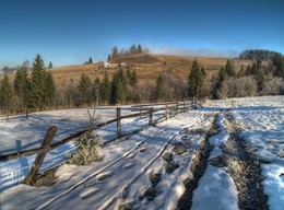 frosty morning / ***