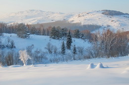 Winter Bouquet / ***