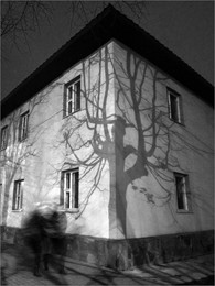 Parallelwelten / -------