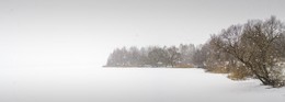 Winter / ***