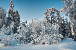Frostwald / ***