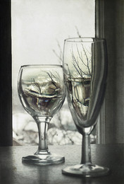 Parallel World / ...