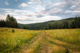 The road in the summer / ***