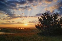Dawn / ***