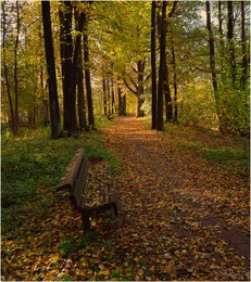 Bis zum Herbst Gasse / ***