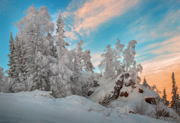 Winter sketch / ***