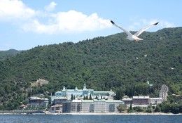  / Seagull and Mount Athos, Halkidiki, Greece