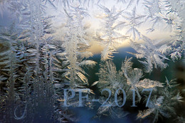 PF-2017 / ***