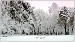 PF-2017 / ***
