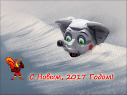 PF-2017 / ***
