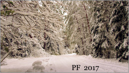 PF-2017 / ***