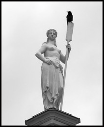 Girl with a paddle / ***