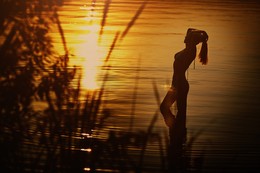 Sommer / ***
