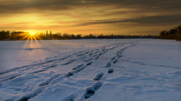Footprints / ***